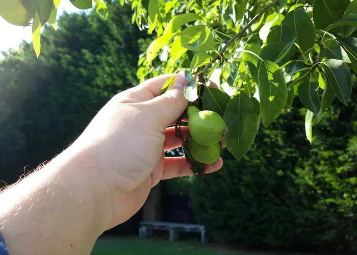 Locanda Da Piero Отель