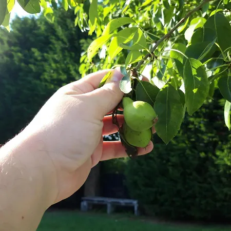 Locanda Da Piero מלון